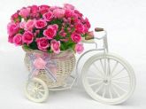 Bicicleta Decorativa - Flores